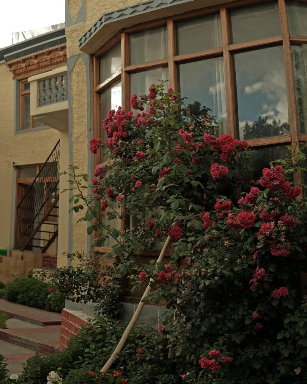 Hotel Lonchay Residency Leh Exterior foto